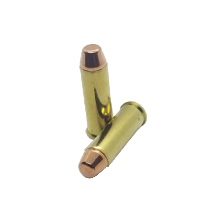41 Rem Mag Target/Practice