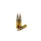223 Rem Precision Match