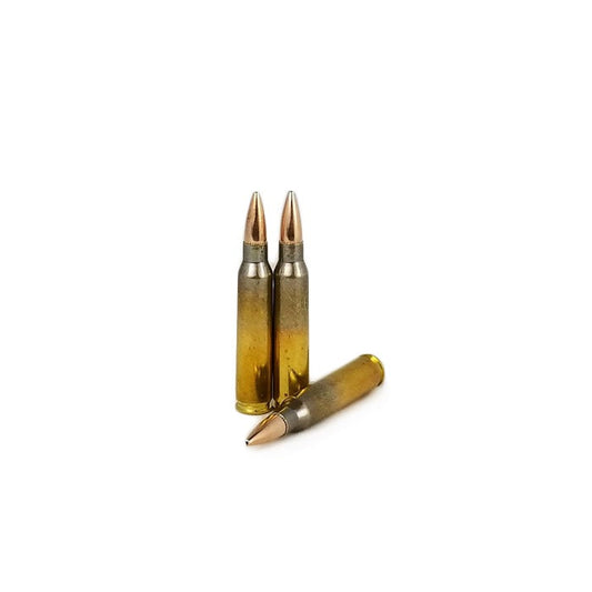 223 Rem Precision Match