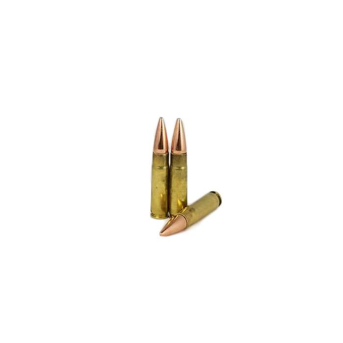 300 AAC Blackout (Target/Practice)