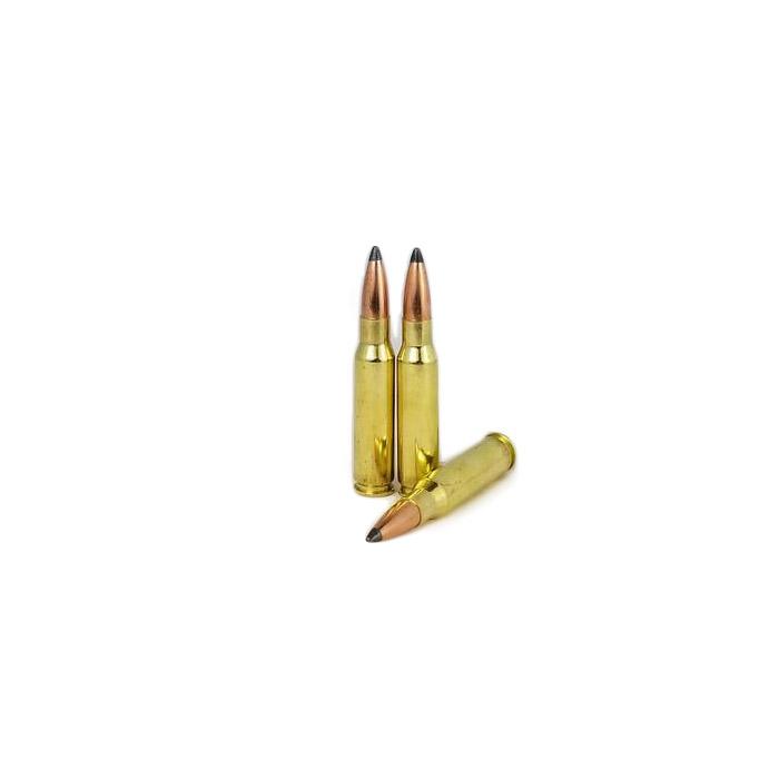 308 WIN Hunting