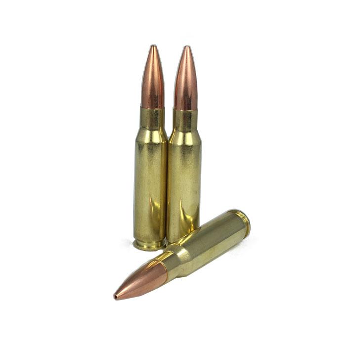 308 WIN Precision Rifle