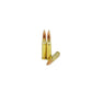 308 WIN Precision Rifle