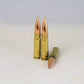 300 AAC Blackout (Hunting/Defense)